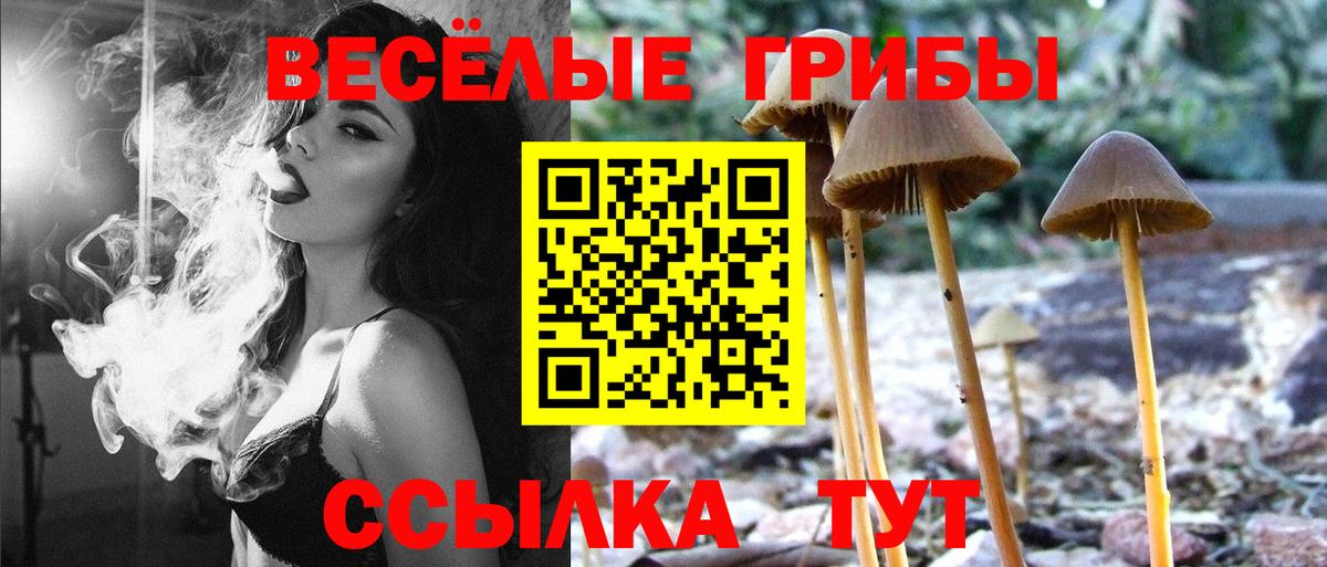 Псилоцибиновые грибы ЛСД Искитим