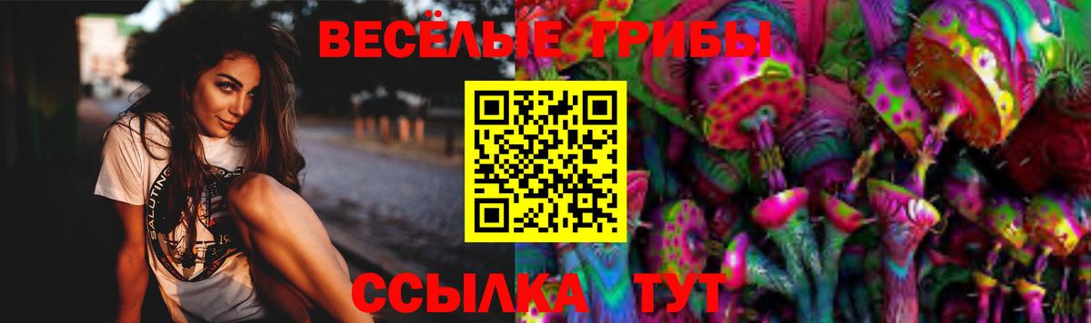 где найти   Псилоцибиновые грибы прущие грибы  Искитим  Вход с VPN  Галлюциногенные грибы мицелий 